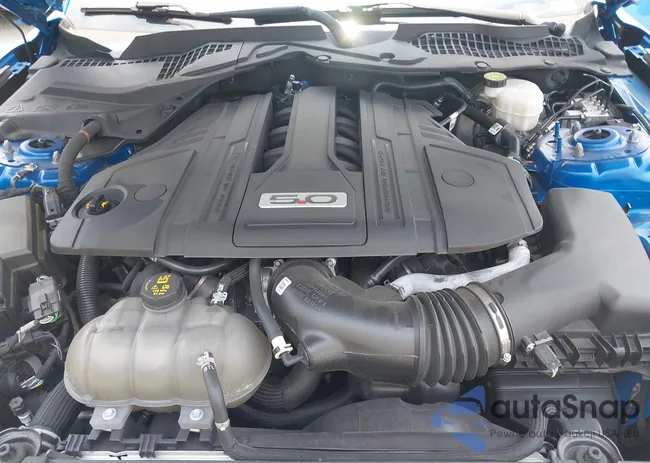 1FA6P8CF5M5151256: 42390106