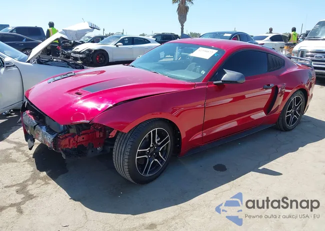 1FA6P8TH4L5189982: 42390872