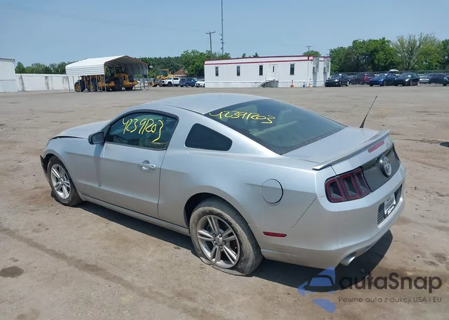 1ZVBP8AM2D5203675: 42391203