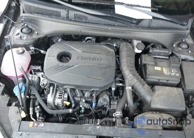 3KPF44AC8RE808597: 42390738