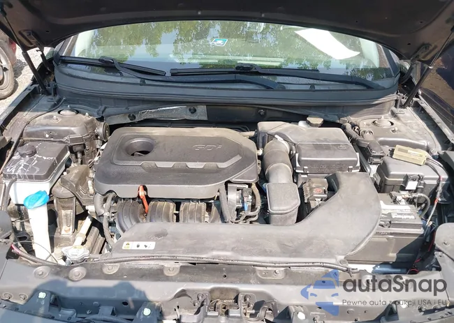 5NPE24AF3GH342789: 42392098