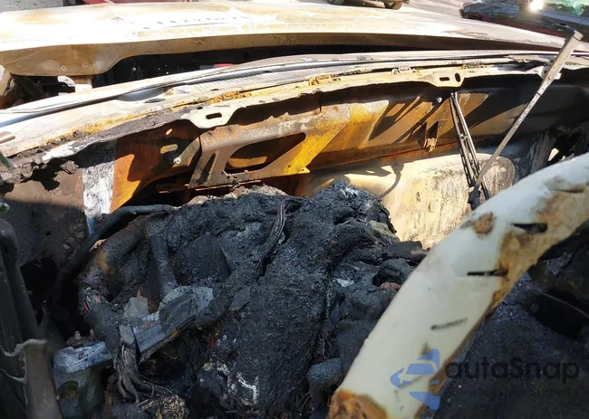 1FTEF14N1TLA06585: 42393211