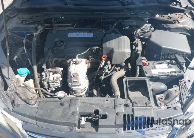 1HGCR2F84DA175638: 42393341