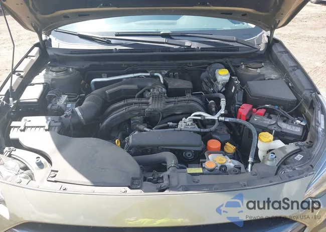 4S4BTAFC2R3189619: 42393459