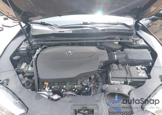 19UUB2F38KA004207: 42394134