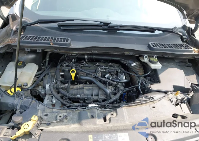 1FMCU9GXXEUD98113: 42394232