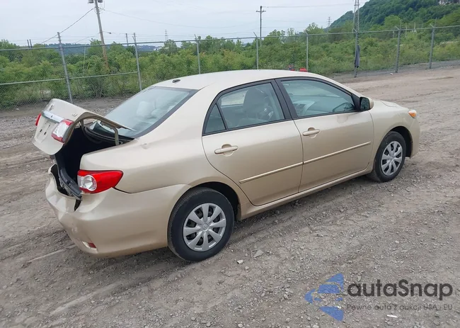 2T1BU4EE0BC719802: 42393512