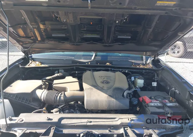 3TYCZ5AN4MT012072: 42393819