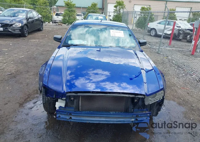 1ZVBP8AM4D5227735: 42395404