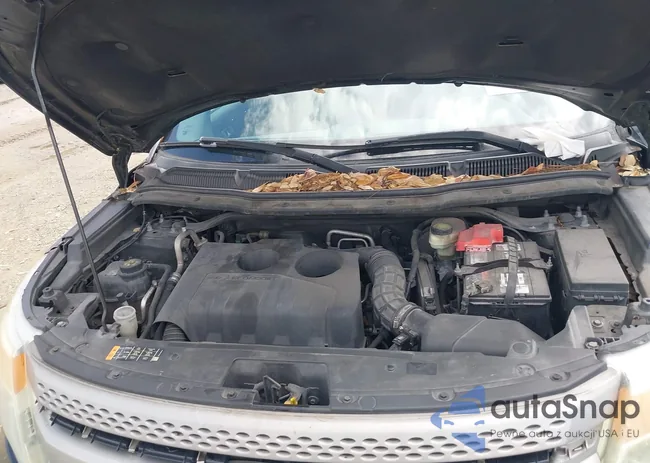 1FM5K7B95DGC26290: 42394679