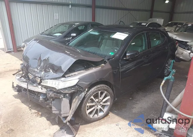 19UUB2F34FA014982: 42395992