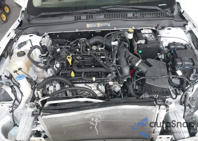 3FA6P0CD1KR138482: 42396106