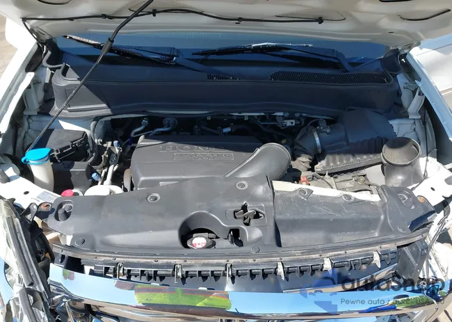 5FNYF4H96EB054214: 42397089