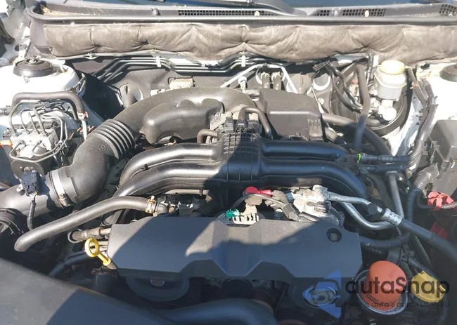 4S4BRBKC2D3234898: 42398113