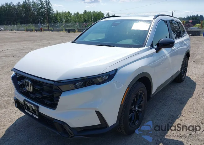 5J6RS6H80RL030409: 42397518