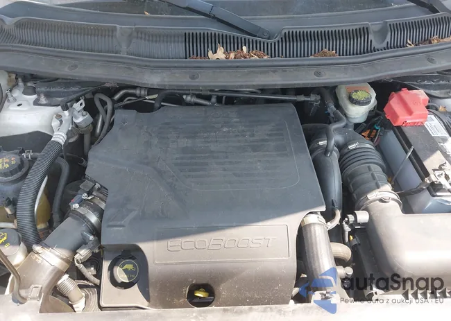 1FM5K8GT8EGC62521: 42400429