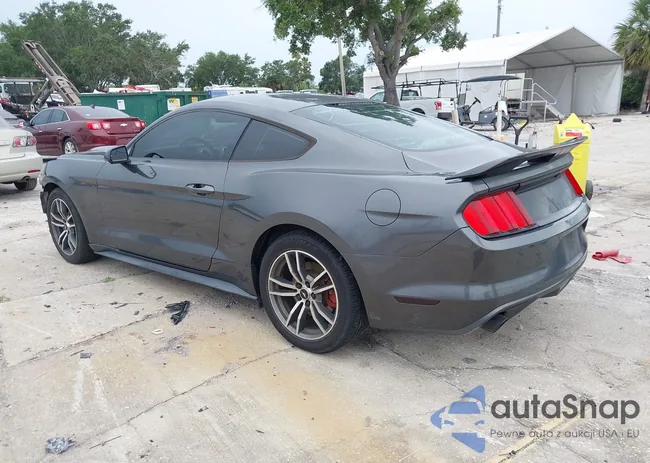 1FA6P8AMXF5402714: 42400456