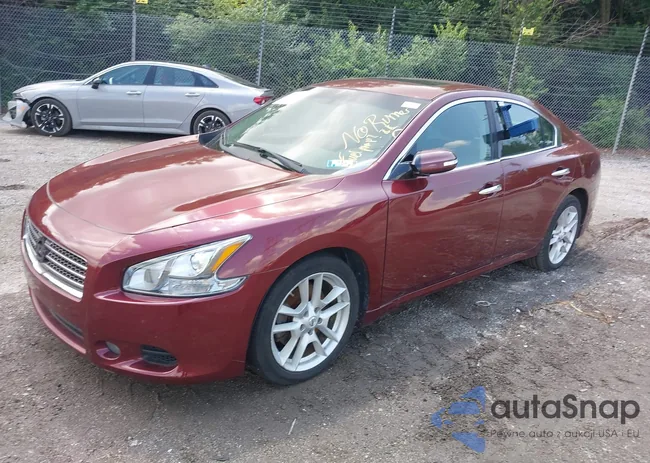 1N4AA5AP3BC847659: 42399533