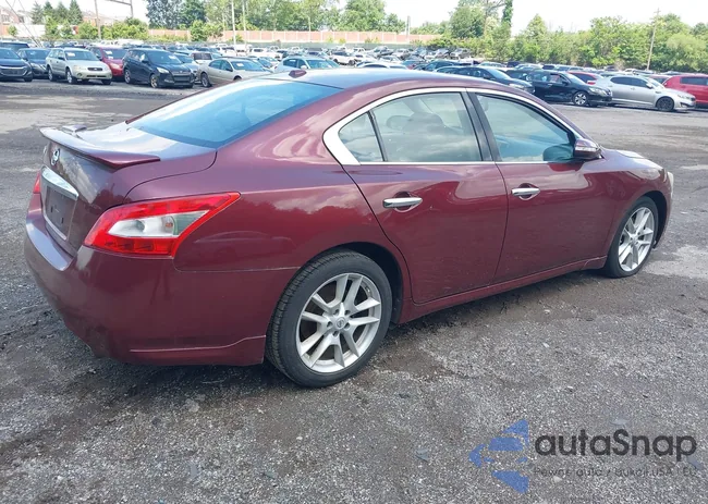 1N4AA5AP3BC847659: 42399533