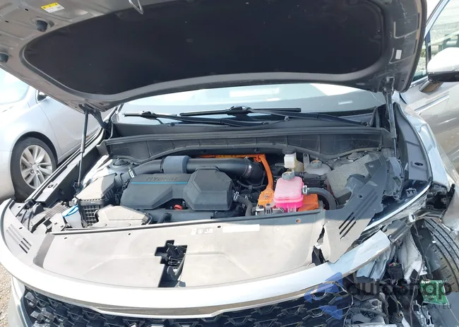 KNDRHDLG3P5140489: 42399780