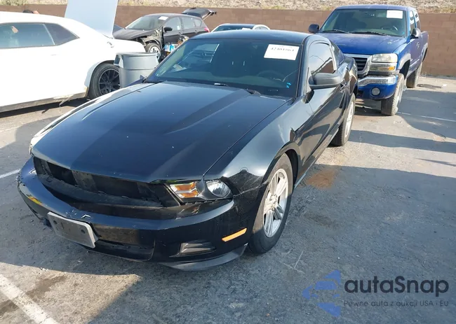 1ZVBP8AM3C5254262: 42401864