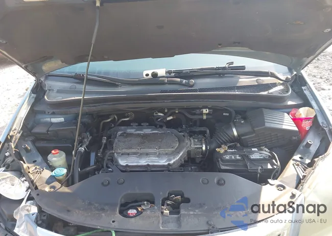 5FNRL38668B058636: 42402182