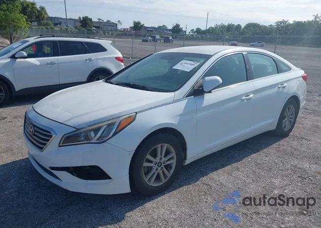 5NPE24AF8HH506586: 42402389