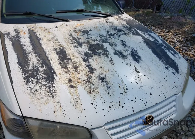 JT2BG28K7X0331117: 42403133