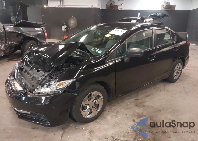 19XFB2F53FE295307: 42402502