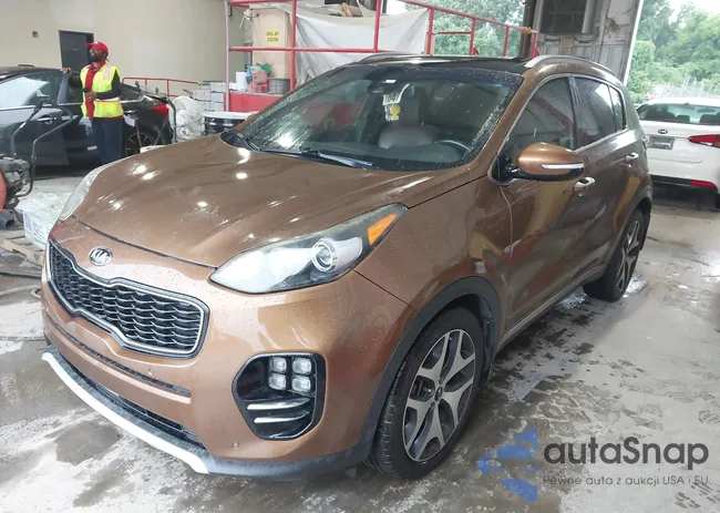 KNDPR3A6XH7167204: 42403880