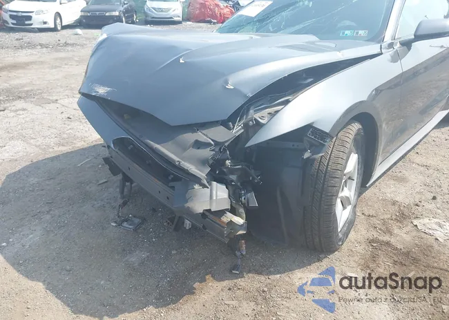 1FA6P8AM7G5320991: 42405138