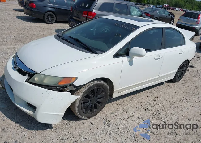 19XFA1F83AE047591: 42405375