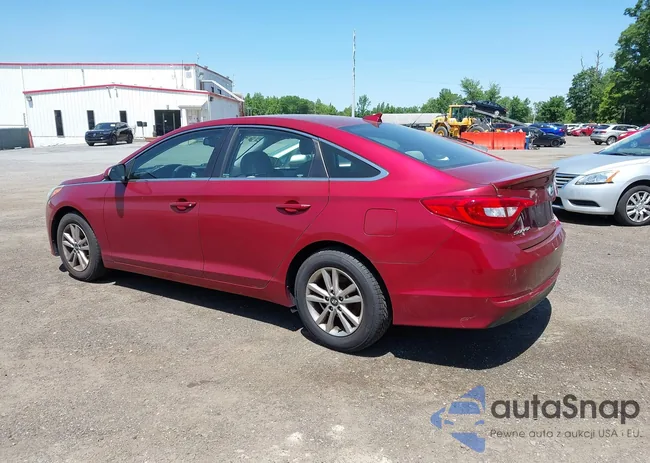 5NPE24AF8FH232741: 42404531