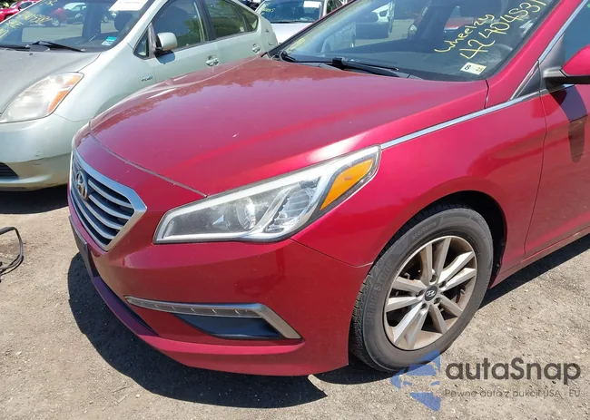 5NPE24AF8FH232741: 42404531