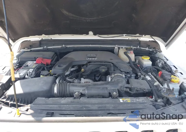 1C4HJXDGXJW146873: 42404813