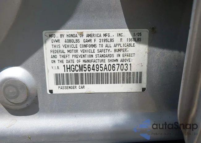 1HGCM56495A067031: 42406002