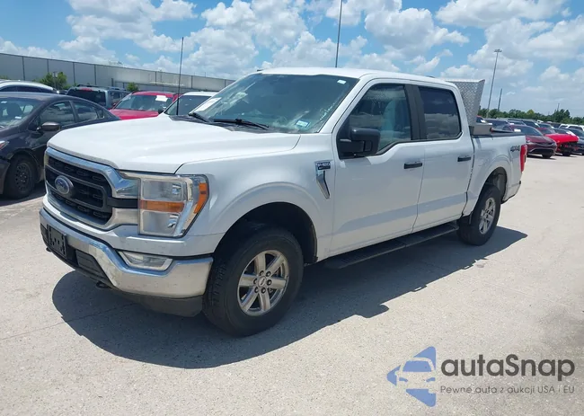 1FTEW1EP2MFB81024: 42405514