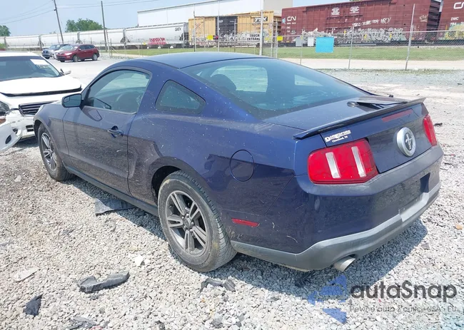 1ZVBP8AM2B5162509: 42405742