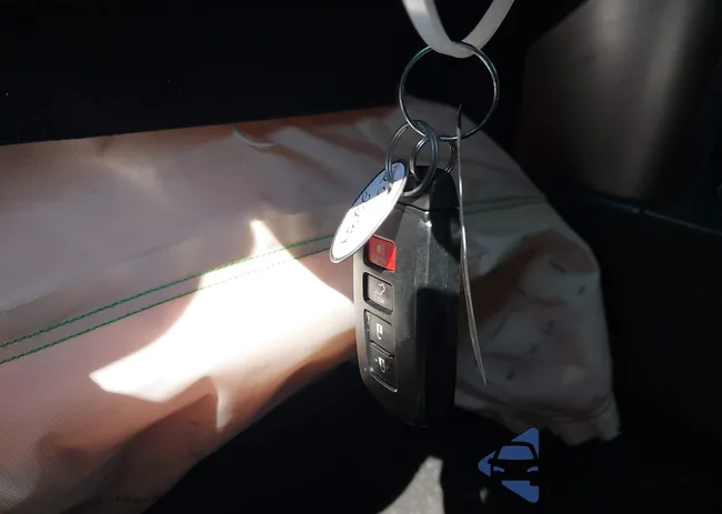 JTMDJREV5HD150570: 42407384