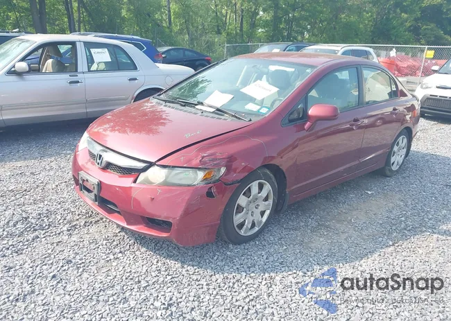 2HGFA1F54BH528852: 42406605