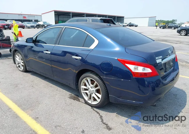 1N4AA5AP7BC843677: 42407646