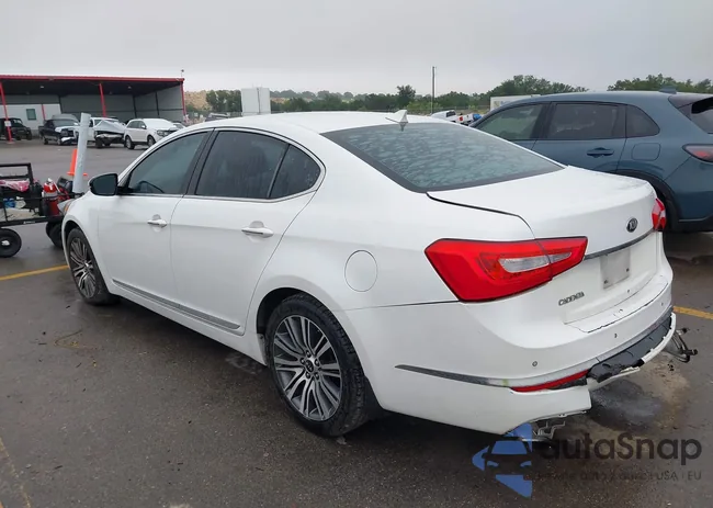 KNALN4D78E5167047: 42407784