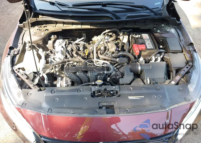 1N4BL4EW3PN407172: 42409243