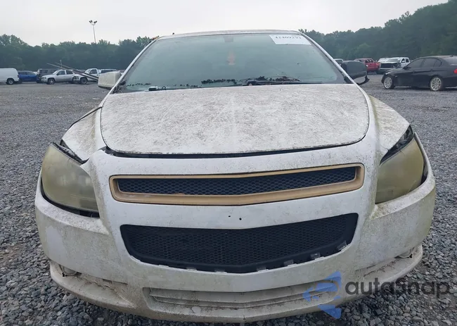 1G1ZK57B09F177608: 42409293