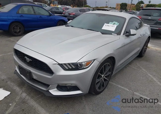 1FA6P8TH9G5252810: 42409444