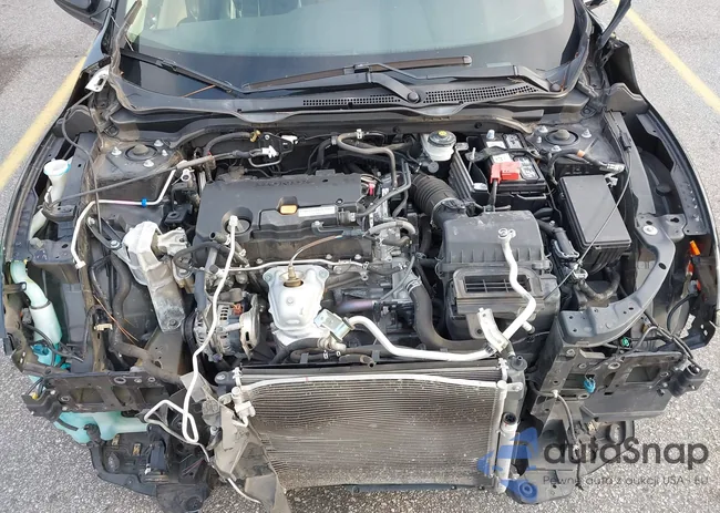 19XFC2F51JE040256: 42408803