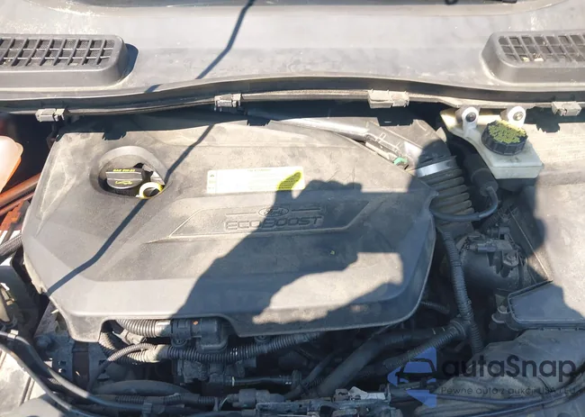 1FMCU0GX7DUA56838: 42409922