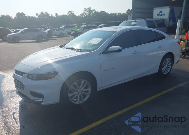 1G1ZD5ST6JF125270: 42410993