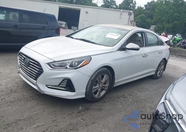 5NPE34AF2JH692273: 42411194