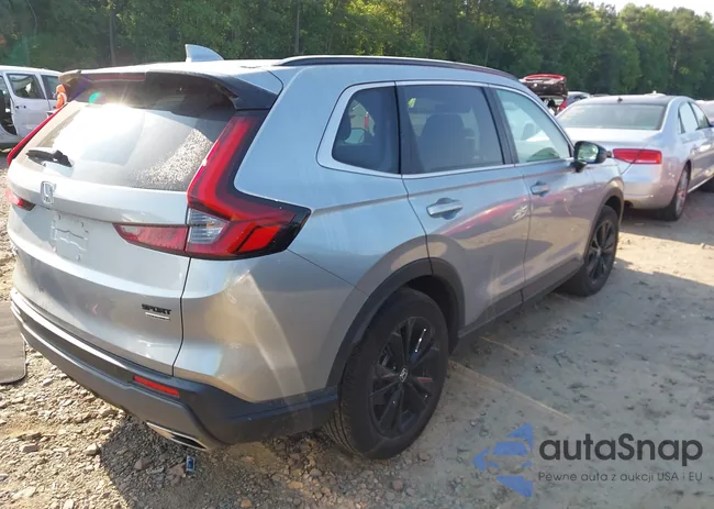 5J6RS6H94PL006569: 42410488